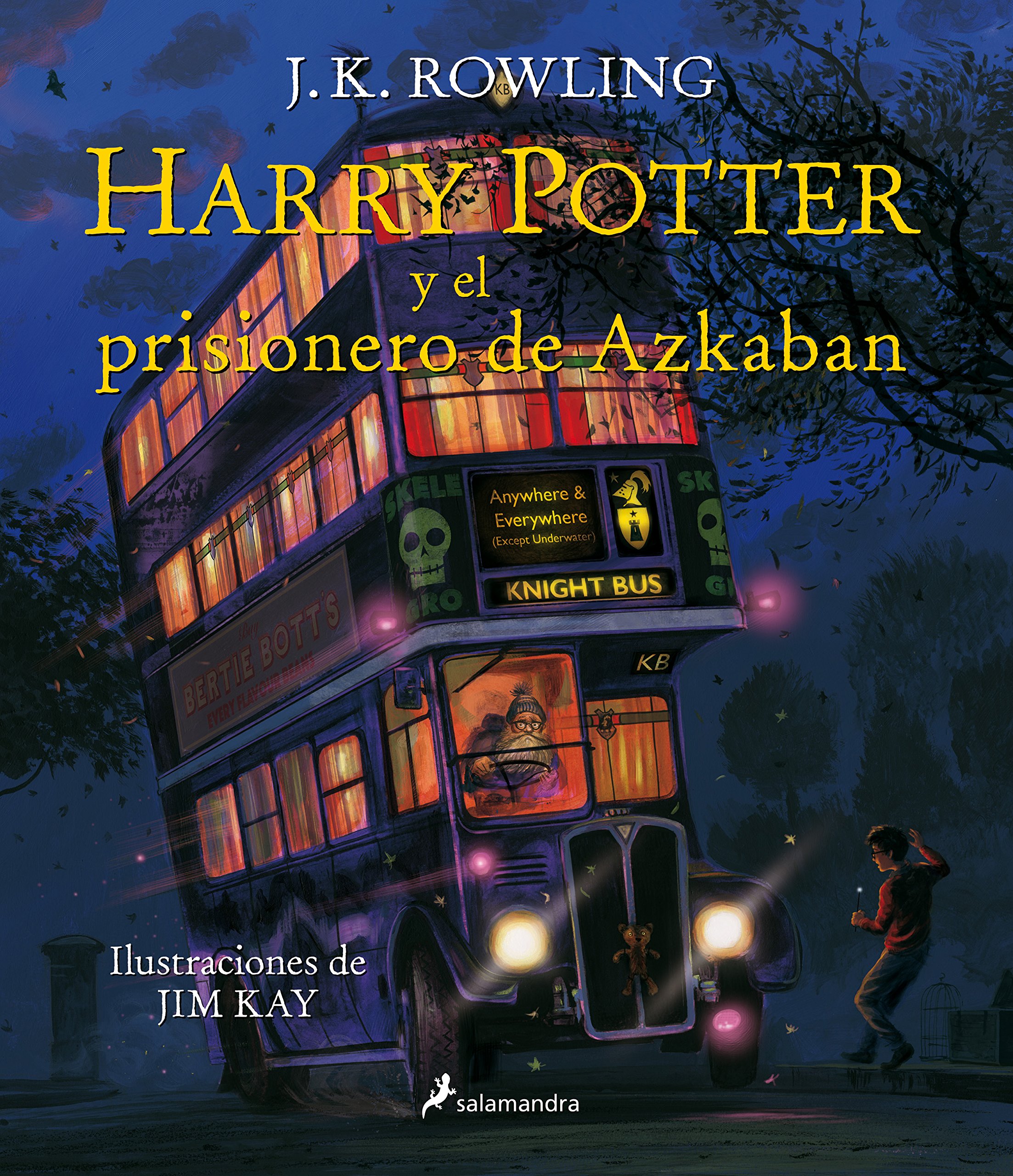 Sumérgete en la Magia con Harry Potter Ilustrado